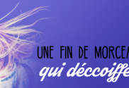 fin-morceau